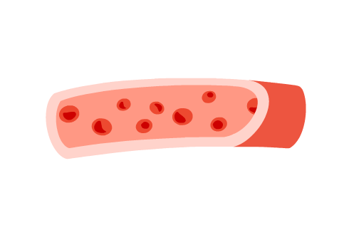 正常な収縮の血管