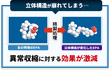 精製処理によって異常収縮に対する効果が激減し、立体構造が崩れてしまう